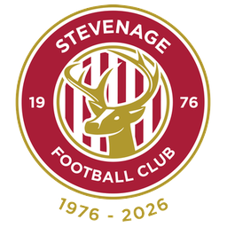 斯蒂文尼奇